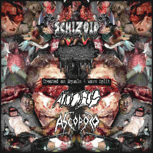 Ascoroso : Created as Equal 4 Way Split